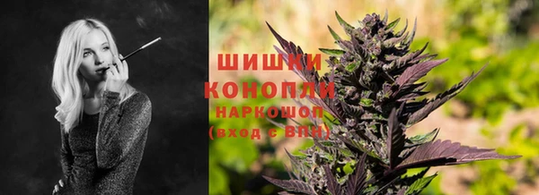 PSILOCYBIN Инта