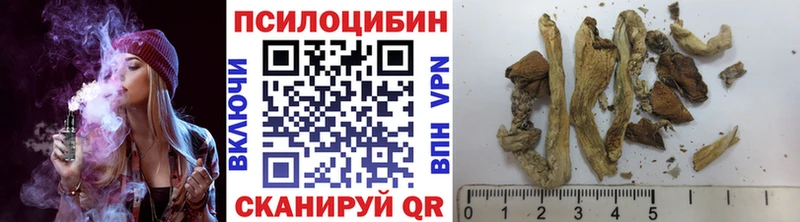 KRAKEN ТОР  Остров  Галлюциногенные грибы мицелий 